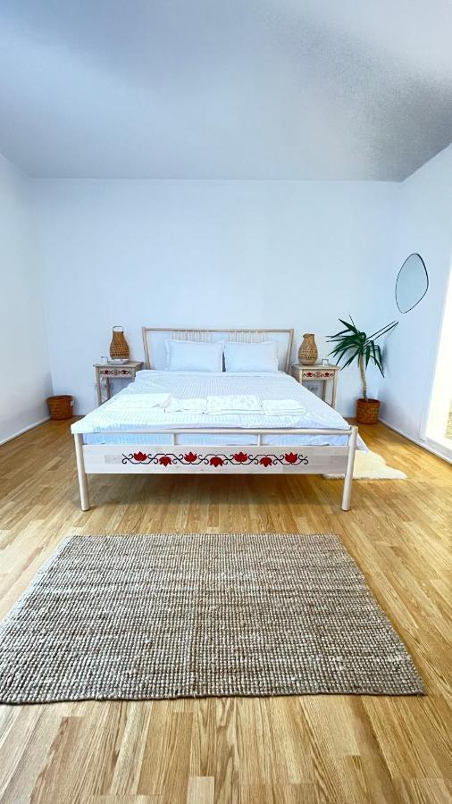 Biolocalia House Dobrogea Apartment Balotesti Bagian luar foto