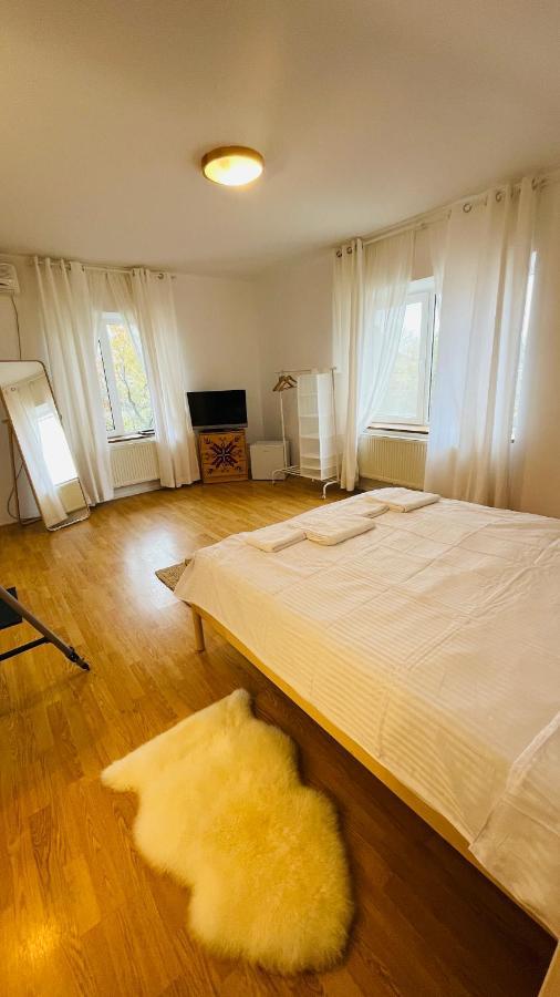 Biolocalia House Dobrogea Apartment Balotesti Bagian luar foto