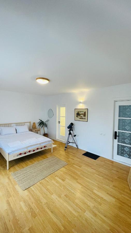 Biolocalia House Dobrogea Apartment Balotesti Bagian luar foto